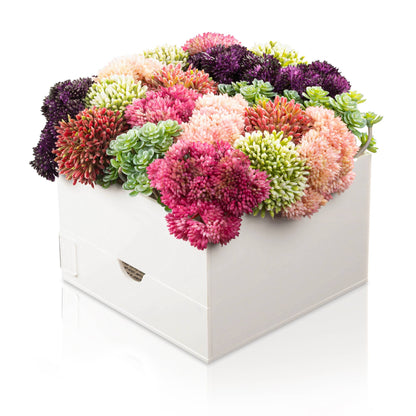 Waterdale Collection - Small Succulent Pink Vase Bencher Set