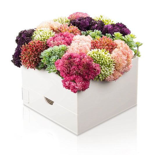 Waterdale Collection - Small Succulent Pink Vase Bencher Set