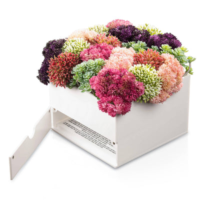 Waterdale Collection - Small Succulent Pink Vase Bencher Set