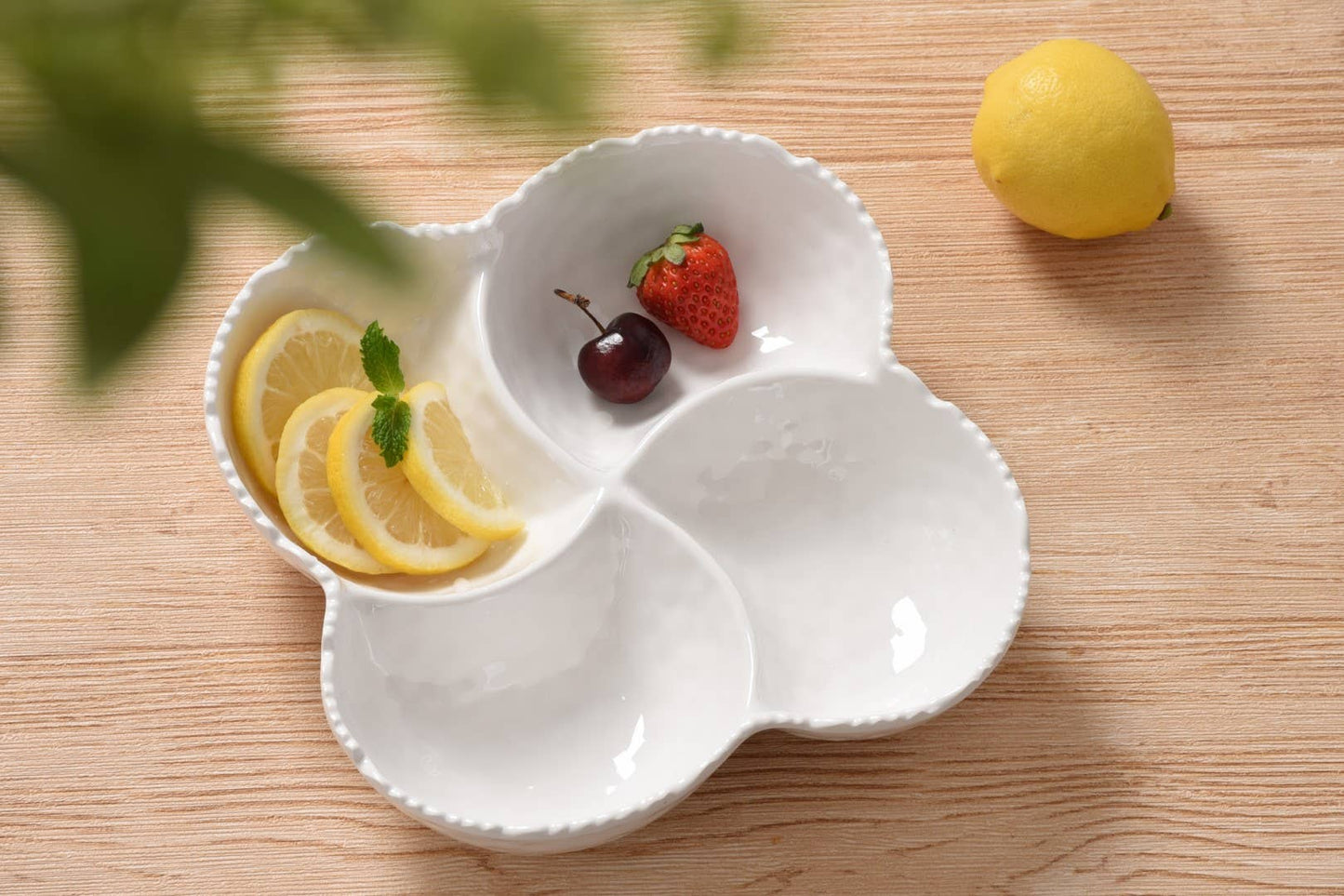 Pampa Bay - 4 Section Bowl in Melamine
