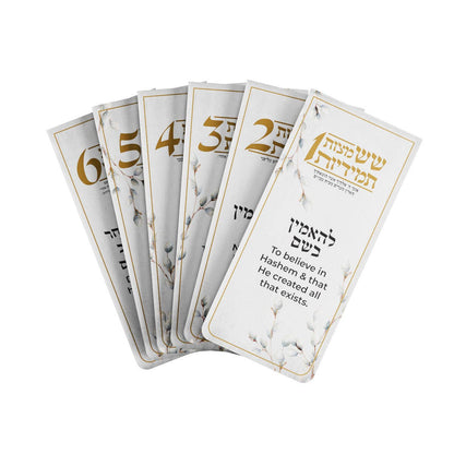 Feldart LLC - Willow Six Constant Mitzvahs Magnet Pack