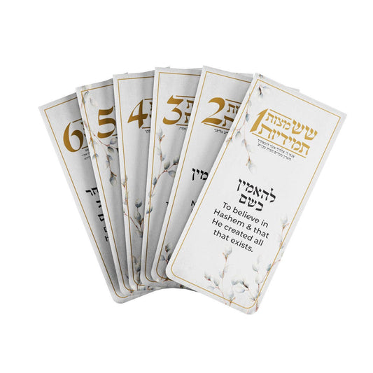Feldart LLC - Willow Six Constant Mitzvahs Magnet Pack