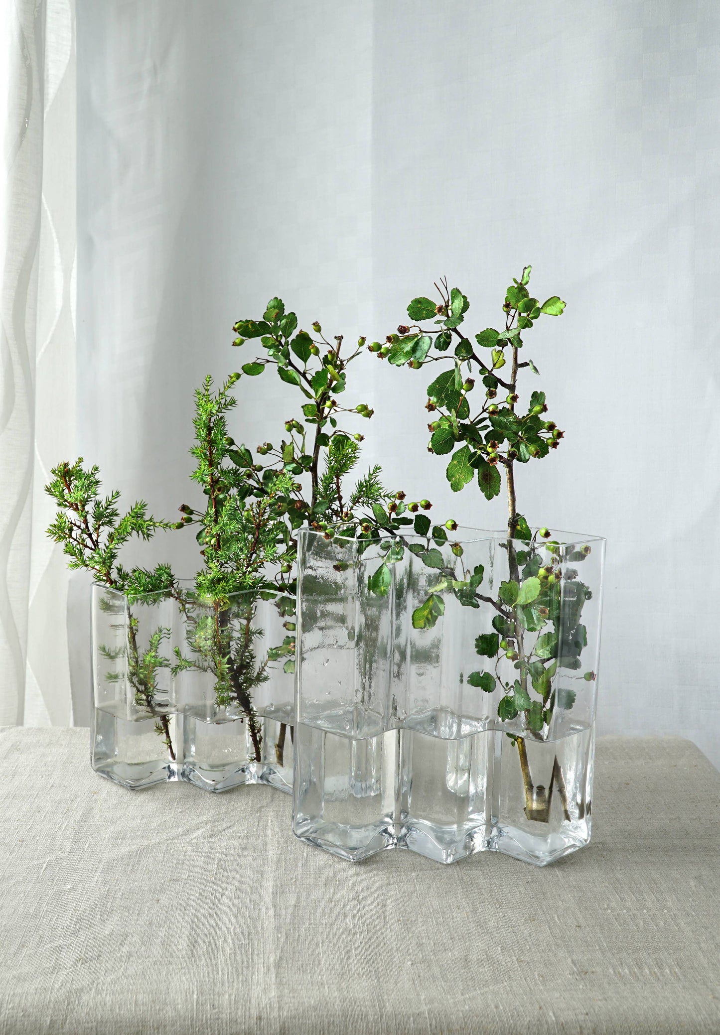 Born in Sweden AB - Row vase four: Clear glass