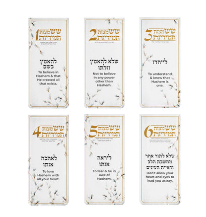 Feldart LLC - Willow Six Constant Mitzvahs Magnet Pack